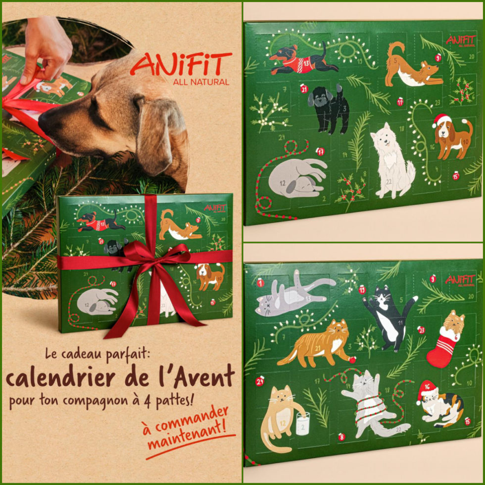 Calendriers de l’Avent pour chiens et chats Emotions Canines